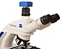C Mount Adapter For Zeiss Microscope